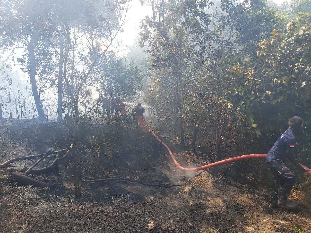 A2801279 5789 41fa 8f49 Ef33f1858445