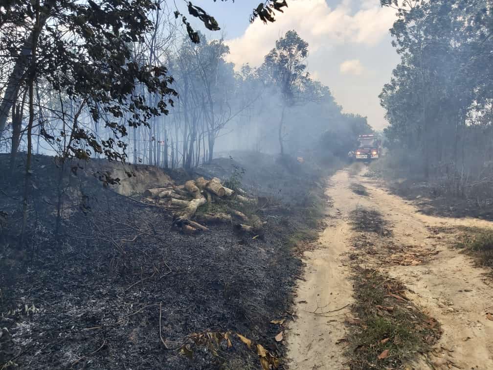 A2c86766 Ecaf 432d A4aa D84aea0e1718