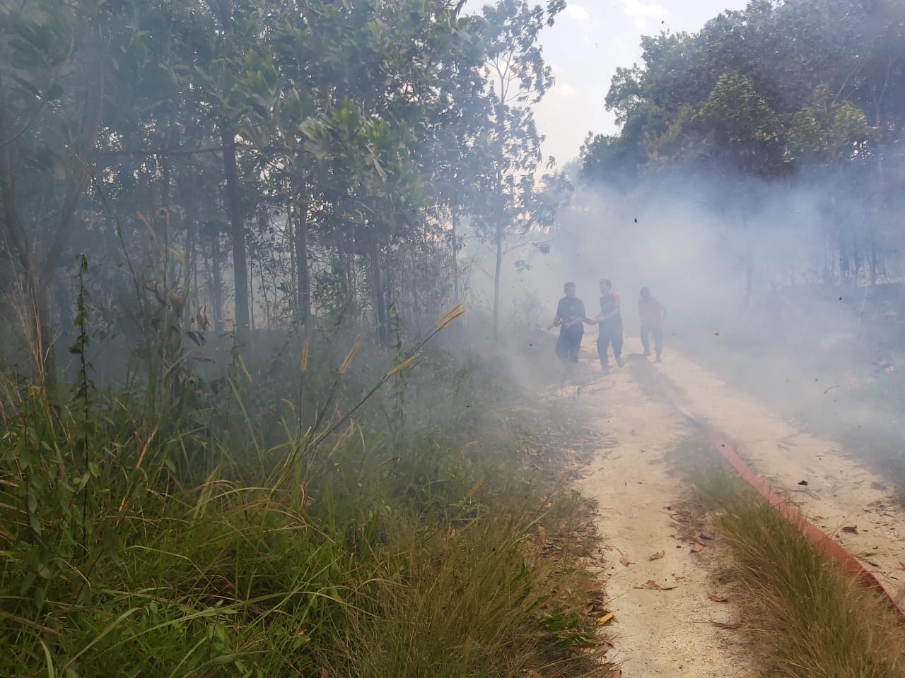 Ac1f1b5c A05d 42f7 943a 9fe06ffc87a6