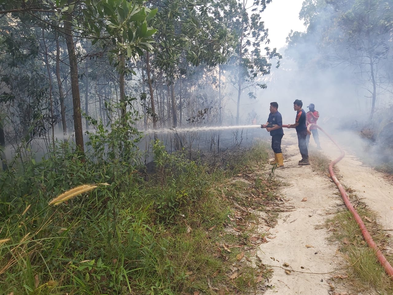 E3a7a075 1469 4127 94db 7907914f7186