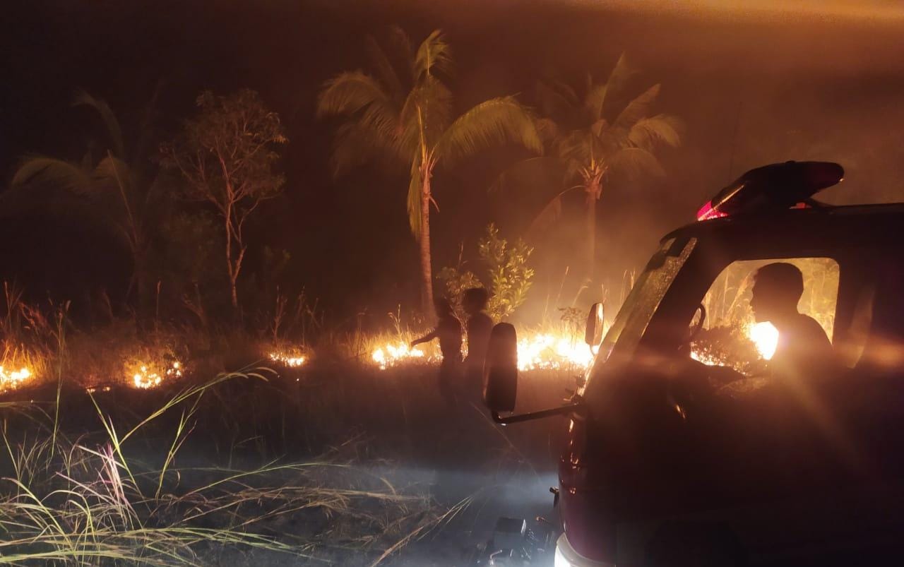 5aa45e4a 781d 4daf 966c 79c11cc02a83