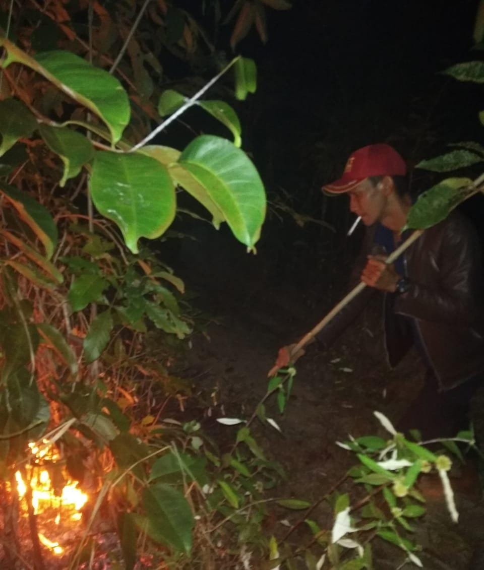 Caf635ca 6216 4263 8007 49acff343b19