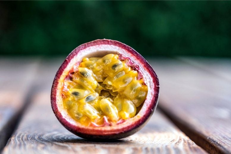 Papaya and Passion Fruit's Cancer-Fighting Potential - News Directory 3