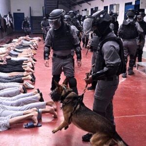 Bukan Hanya Disiksa, Aparat Israel Perkosa Tahanan Palestina Pakai Anjing Bukan Hanya Disiksa, Aparat Israel Perkosa Tahanan Palestina Pakai Anjing