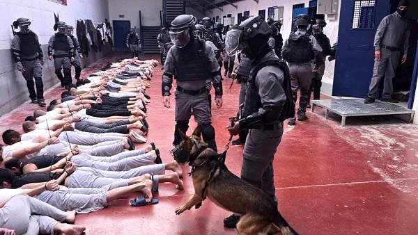 Bukan Hanya Disiksa, Aparat Israel Perkosa Tahanan Palestina Pakai Anjing Bukan Hanya Disiksa, Aparat Israel Perkosa Tahanan Palestina Pakai Anjing