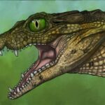 Thikarisuchus xenodentes