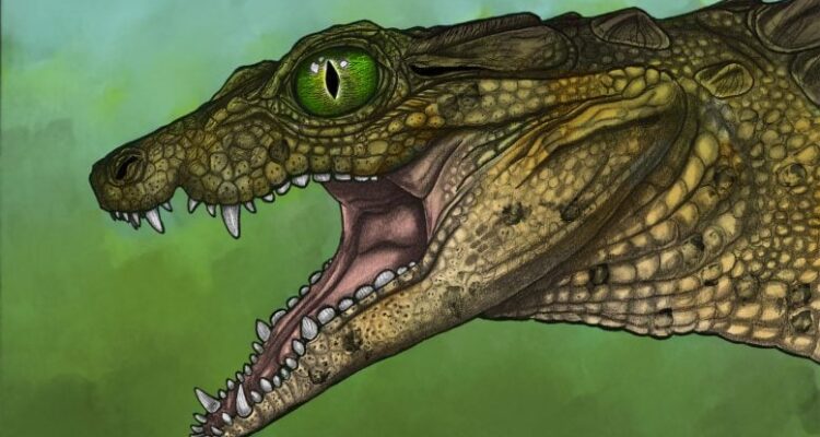 Kerabat Buaya Kecil Berusia 95 Juta Tahun Membingungkan Para Ilmuwan Thikarisuchus xenodentes