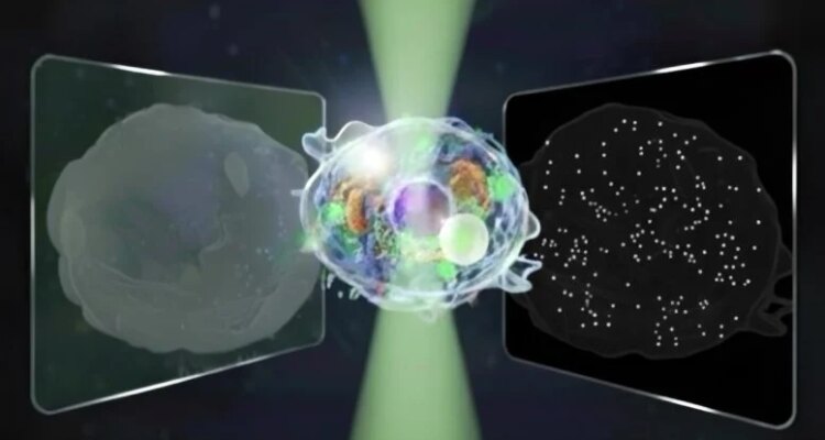 “Mikroskop Terpadu yang Hebat” Mengungkapkan Dunia Mikro dan Nano yang Mikroskop Terpadu yang Hebat