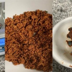 Protein Berbahan Dasar Bunga Matahari Ini Bisa Menjadi Alternatif Daging Tepung Bunga Matahari Daging Vegan