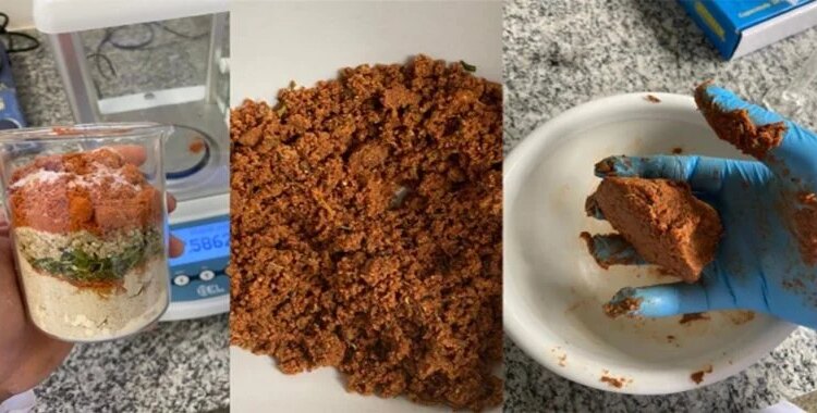 Protein Berbahan Dasar Bunga Matahari Ini Bisa Menjadi Alternatif Daging Tepung Bunga Matahari Daging Vegan