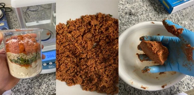 Protein Berbahan Dasar Bunga Matahari Ini Bisa Menjadi Alternatif Daging Tepung Bunga Matahari Daging Vegan