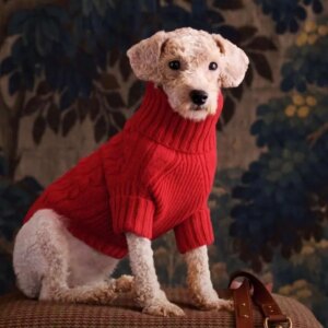 Psikologi Dibalik Tren Natal Ralph Lauren Dan Mengapa Ini Menang Psikologi Dibalik Tren Natal Ralph Lauren Dan Mengapa Ini Menang di Tahun 2025