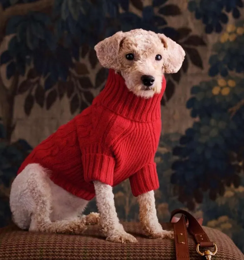 Psikologi Dibalik Tren Natal Ralph Lauren Dan Mengapa Ini Menang Psikologi Dibalik Tren Natal Ralph Lauren Dan Mengapa Ini Menang di Tahun 2025